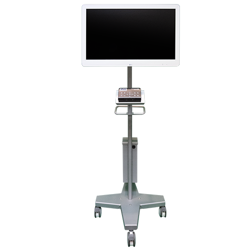 AXIS™ MOBILE MONITOR STAND